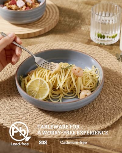 famiware Meteor 33 oz Pasta Bowls Set of 8, Blue Gray - color: Blue Gray, size: Set of 8