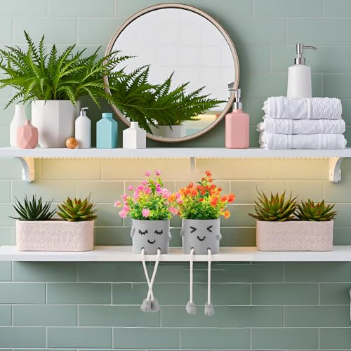 2 Packs Cute Fake Plants, Kawaii Artificial Potted Plants for Table Desk Home Bedroom Bathroom Office Shelf Office Wall Room Farmhouse Decor Artificial Plants B3 - color: Yin-pan-b3