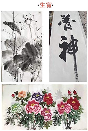 MEGREZ Raw Xuan Rice Paper Chinese Japanese Sumi Calligraphy Painting Sheet - size: 50 x 100 cm (19.6 x 39.3 inch)