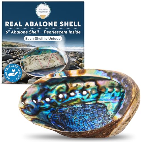 Hand Selected Abalone Shell, 6-Inch+ Polished Smudging & Display Bowl - size: 6 Inches