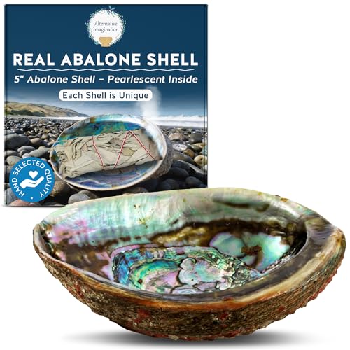 Hand Selected Abalone Shell, 5-Inch+ Polished Smudging & Display Bowl Kit - size: 5 Inches
