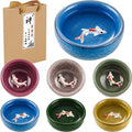 Skyley 6 Pcs Korean Soju Shot Glasses Set,Colorful, Koi Fish Pattern - color: Colorful