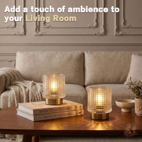 MJ PREMIER Battery Operated Lamp,Small Cordless Lamp with Timer, Clear-01 - color: Clear-01