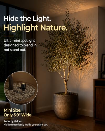 EZVALO 2-Pack Spotlight Indoor, Rechargeable Battery Picture Lights, Wireless Uplights with Remote, Dimmable, ⁠3 Color Temperatures⁠, Timer, Accent Lighting for Plants, Trees, Art, Displays - color: Black