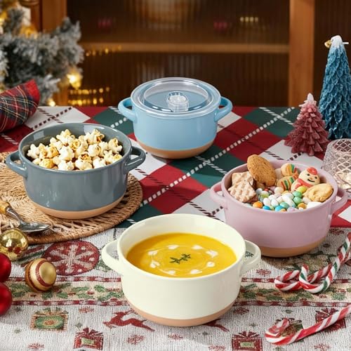 AmorArc 24 Ounces Soup Bowls with Large Handles and Lids, Stoneware Bowls Set of 2 for Soup, Cereal, Stew, Noodle, Colourful Ceramic Kitchen Bowls, Microwave&Dishwasher Safe, Blue&Pink - color: Pink& Sky Blue, size: Set of 2