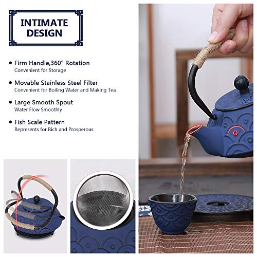 Japanese Style Cast Iron Teapot Set Tetsubin Kettle with Infuser - color: Fish Scale