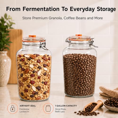 1 Gallon Fermentation Jars with Airlocks & Glass Weights, 2-Pack