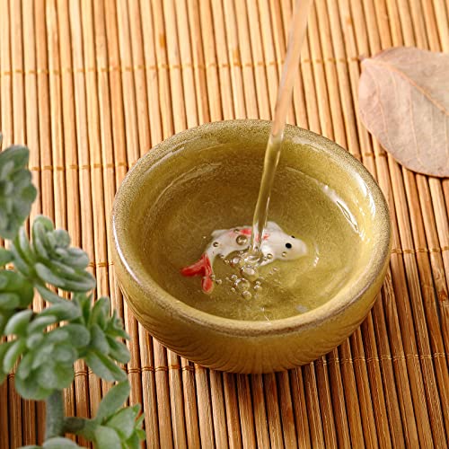 Skyley 6 Pcs Korean Soju Shot Glasses Set,Colorful, Koi Fish Pattern - color: Colorful