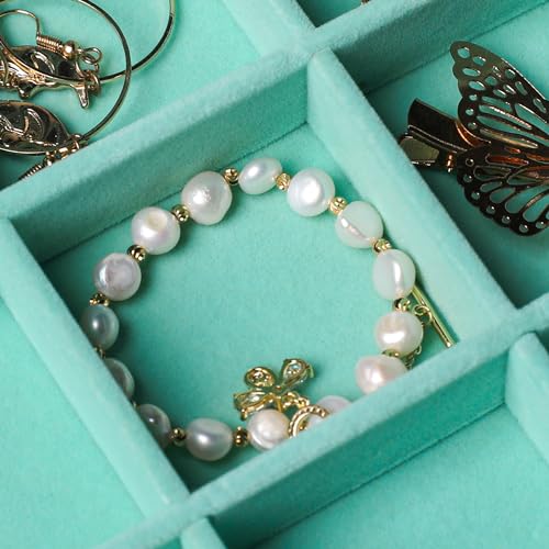 Frebeauty 24 Grid Earring Organizer,Velvet Jewelry Tray with Clear Lid - color: Turquoise, size: 24 Grid