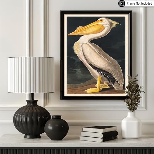 Poster Master Vintage James Audubon Poster - Retro White Pelican Print - Birds of America Art - Bird Art - Gift for Men, Women & Animal Lover - Decor for Dorm or Living Room - 8x10 UNFRAMED Wall Art - color: Style-09, size: 8"L x 10"W