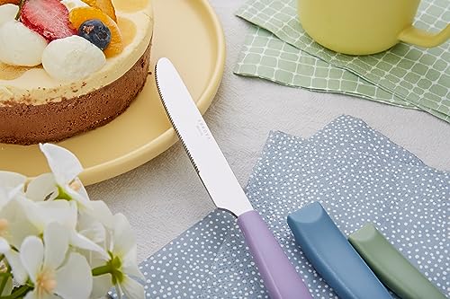 ANNOVA Silverware Set Stainless Steel Colorful Handle Tableware Kitchen Flatware Set Utensils, Includes Dinner Knives, Forks, Spoons, Salad Forks & Dessert Spoons (Morandi Mix, 20 Pieces) - color: Mixed Morandi 20Pieces