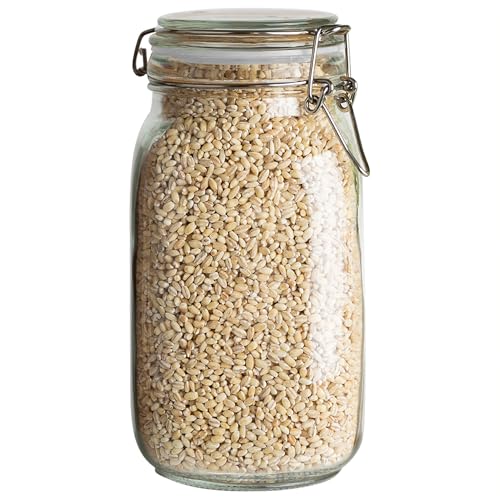 Glass Jar with Airtight Lid 50 oz - size: 50 oz
