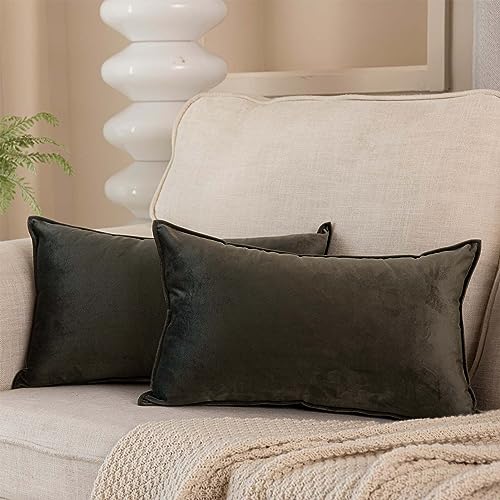 JUSPURBET 12x20 Velvet Lumbar Throw Pillow Covers Set of 2,Ash - color: Ash, size: 20" x 12" (Pack of 2)