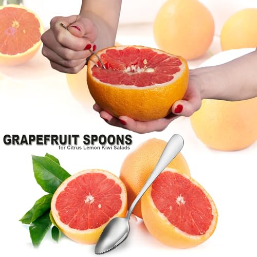 Grapefruit Spoons Serrated Edge Stainless Steel Grapefruit Utensils Tool Dessert Spoons for Citrus Lemon Kiwi Salads Melon Lime Pitaya Apple Fruit Puree