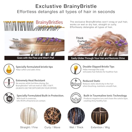 NuWay® DoubleC® Scalp Care Hair Brush – Patented Double Curve Design for Scalp Massage, Vented Blow-Dry Styling, Wet & Dry Hair, All Hair Types (Lavender) - color: Lavender