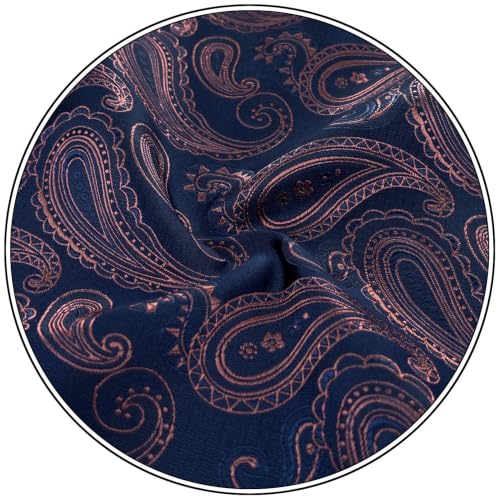 S&W SHLAX&WING Mens Pocket Square Paisley Multicolor Large for Business Wedding - color: Bh77