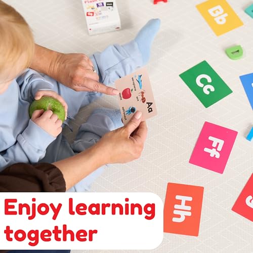 Toddler Learning Flash Cards | Kids Letter Number Alphabet Animal Color Words Flashcards | Large Cards Ideal for Preschool Kindergarden Pre K Educational | Flashcards 12 Months - 5 Years - size: Classic Size (5½ x 4¼")