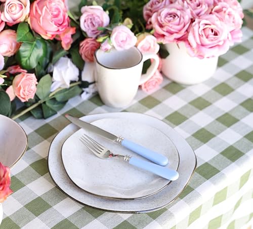 ANNOVA Silverware Set 20 Pieces Cutlery Stainless Steel Colorful Fun Handle Flatware Service for 4 - Dinner Knife, Dinner Fork, Salad fork, Dinner Spoon, Dessert Spoon (Light Blue, 20 Pieces) - color: Light Blue