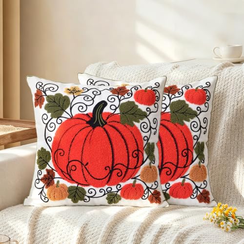 Set of 2 Embroidered Decorative Throw Pillow Covers Couch Square Pillowcases Cushion for Bedroom Sofa Farmhouse Decor 18x18 Inch (Cute Pumpkin) - color: Cute Pumpkin