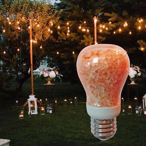 Himalayan Glow Salt Light Bulbs 60-Watt Equivalent, Warm Amber Glow, 7 watts, 2 Count (Pack of 1) - style: Salt Light Bulb - Pack 2