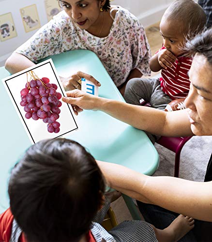 Key Education Early Learning Language Library Flash Cards, Speech Therapy