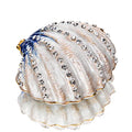YU FENG 2.3 Inch Seashell Trinket Box Hinged Jewelry Box Figurine - color: Shell-1