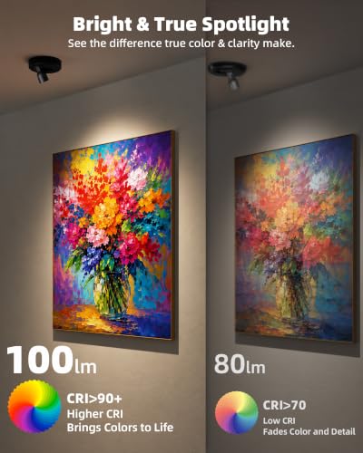 EZVALO 2-Pack Spotlight Indoor, Rechargeable Battery Picture Lights, Wireless Uplights with Remote, Dimmable, ⁠3 Color Temperatures⁠, Timer, Accent Lighting for Plants, Trees, Art, Displays - color: Black