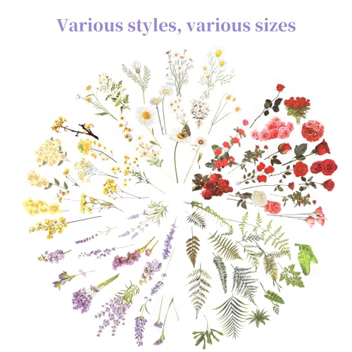 543PCS，70 Sheets Natural Flower Stickers for Scrapbooking，Self-Adhesive Transparent Flower Sticker ，Botanical Journaling Stickers for Letter Writing, DIY Journaling, and Laptop Personalization