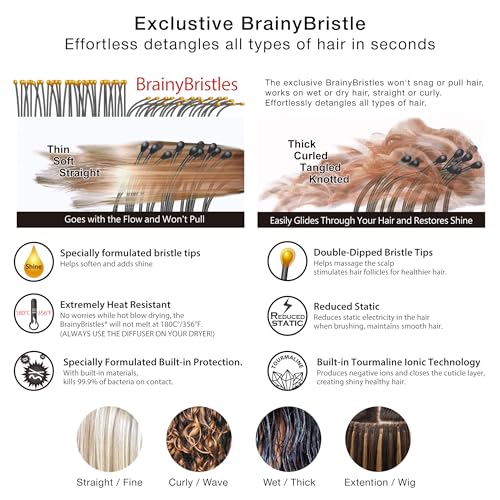 NuWay® DoubleC® Scalp Care Hair Brush – Patented Double Curve Design for Scalp Massage, Vented Blow-Dry Styling, Wet & Dry Hair, All Hair Types (Indigo) - color: Indigo