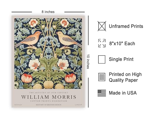 Poster Master Strawberry Thief Art Print - William Morris Poster - Botanical Flower & Animal Art - Exhibition Wall Design - Floral Bird Illustration - Office or Bedroom Wall Decor - 8x10 UNFRAMED Print - color: Style-12, size: 8"L x 10"W