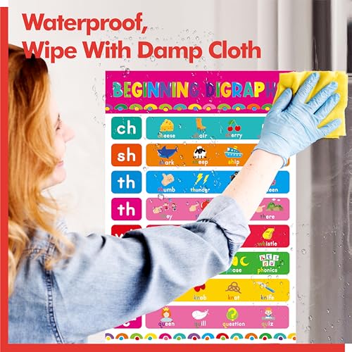 17 English Phonics Posters, Language Education Charts, Learning Vowels, Alphabet Posters, PET Film Covered Phonics Learning Tool For Kindergarten Classroom, Bulletin Board, Kids’ Room, 11”x16” - color: 17 English Phonics Posters