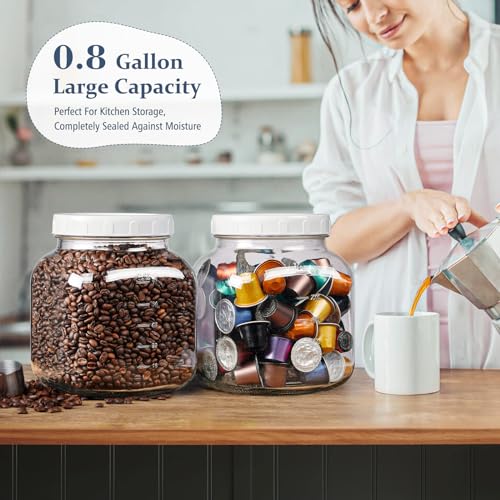 0.8Gal Glass Jar with Lid, Wide Mouth Mason Jar for Airtight Storage, 2 Pcs - size: 0.8 Gallon