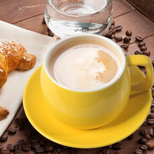 ionEgg Porcelain Coffee Cup with Saucer 270ml/9oz, Minimalist Design, Perfect for Latte, Cappuccino, and Tea, Yellow - color: Yellow