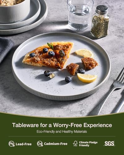 Famiware Star Stoneware Dinnerware Sets for 8, Reactive Glaze Plates, Bowls - color: Matte Gray