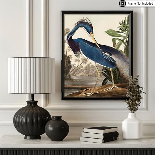 Poster Master Vintage James Audubon Poster - Louisiana Heron Print - Birds of America Art - Bird Art - Gift for Men, Women & Animal Lover - Decor for Bedroom or Living Room - 8x10 UNFRAMED Wall Art - color: Style-11, size: 8"L x 10"W