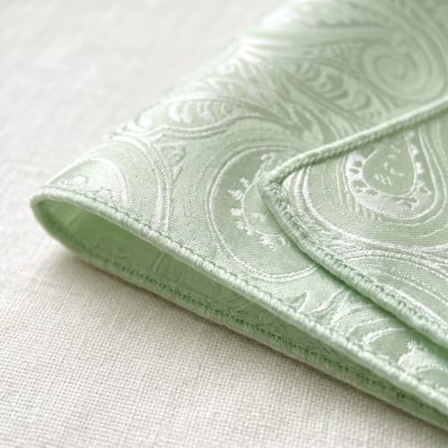 S&W SHLAX&WING Mens Pocket Square Paisley Multicolor Large for Business Wedding - color: Eh6