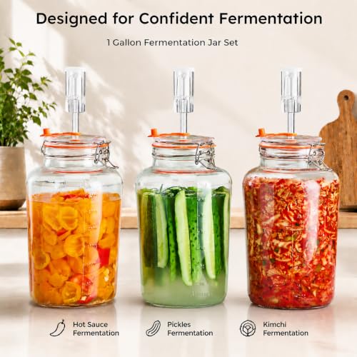 1 Gallon Fermentation Jars with Airlocks & Glass Weights, 2-Pack