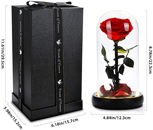 Mothers Day Roes Gifts,Gifts for Mom Flowers for Delivery Prime,Beauty and the Beast Rose in Glass Dome,Birthday Gifts for Women Her Mom Wife Girlfriend Grandma on Mother‘s Day Anniversary - color: Red Rose