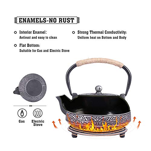 Japanese Style Cast Iron Teapot Set Tetsubin Kettle with Infuser - color: Eight