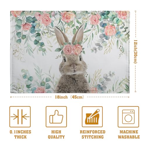 Easter Bunny Placemats Set of 4 Eucalyptus Leaves Rabbit Rose Place Mats 12x18 Inch Spring Seasonal Vintage Farmhouse Heat Resistant Washable Table Mats for Party Kitchen Dining - color: Easter Leaves