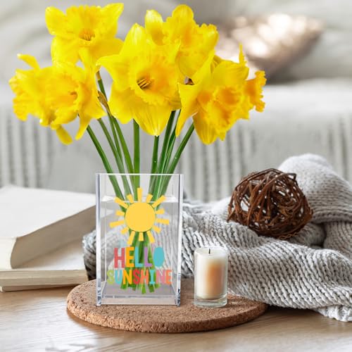 Hello Sunshine Acrylic Cosmetic Pencil Pen Holder Cup, Inspirational Sunshine Desk Organizer Accessories for Home Office Decor, Motivational Appreciation Gifts for Coworker Teacher Secretary - style: Hello Sunshine
