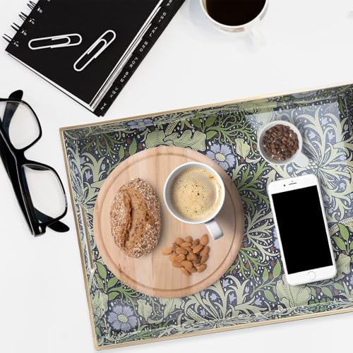 Spsyrine Plastic Serving Tray with Handles for Coffee Table, Seaweed - color: Multi H