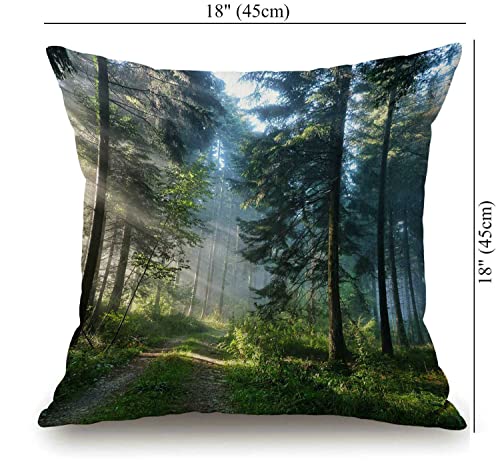 Solekla Misty Forest Pillow Covers 18x18 Farmhouse Decorative Sunshine Trees Throw Pillow Covers for Patio Furniture and Couch - color: Sl215