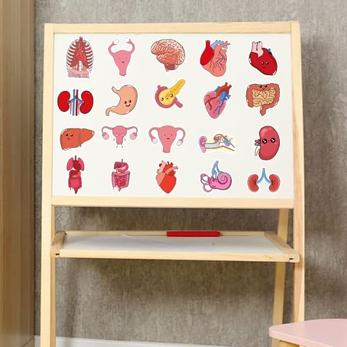50Pcs Cute Cartoon Body Organs Stickers, Human Organ Stickers, Human Biology Student Stickers for Doctors Nurses Teacher, Vinyl Stickers for Adults Water Bottle Laptop Decor Party Favors Gifts - color: Cartoon Body Organs