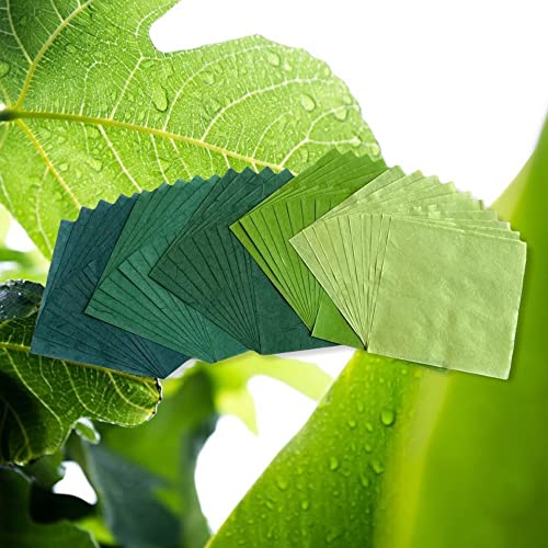 Natural Fiber Mulberry Paper Sheets 6 x 6 Inches, 50 PCS Handmade Craft Paper for Origami, Scrapbooking, Card Making, DIY Decoration, Mixed Media Art (Green Tone, 6x6 Inch) - color: Green Tone, size: 6 x 6 inches