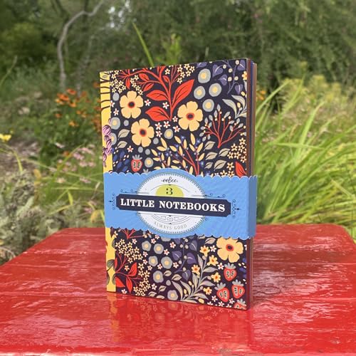 eeBoo: Shelley's Little Books – Set of 3 Small Notebooks, 5.75 x 4, 64-Page Journals with Lines & Dot Grid Pages, Portable Journals - style: Shelley's