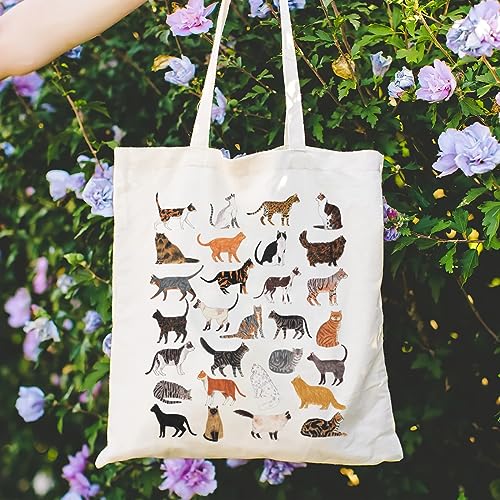 Canvas Aesthetic Tote Bag for Women with Inner Pocket Totes Shoulder Book Bag Shopping Reusable Grocery Bags - color: Cat Tote Bag