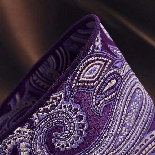 S&W SHLAX&WING Mens Pocket Square Paisley Multicolor Large for Business Wedding - color: Kh12
