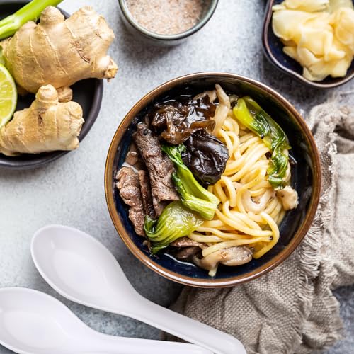 Hushee 100 Pcs Asian Soup Spoon Large Chinese Noodle Ramen Reusable Japanese Pho Spoon Bulk with Hook for Home Restaurant - style: Minimalist