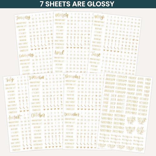 bloom daily planners Metallic Calendar Essentials Planner Stickers - 8 Sheets, 1629 Stickers Per Pack! - Aesthetic Monthly Headings, Dates, Icons, Etc. - Gold Foil - color: Gold Foil